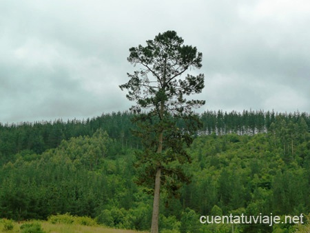 Valle de Oma (Gipuzkoa)